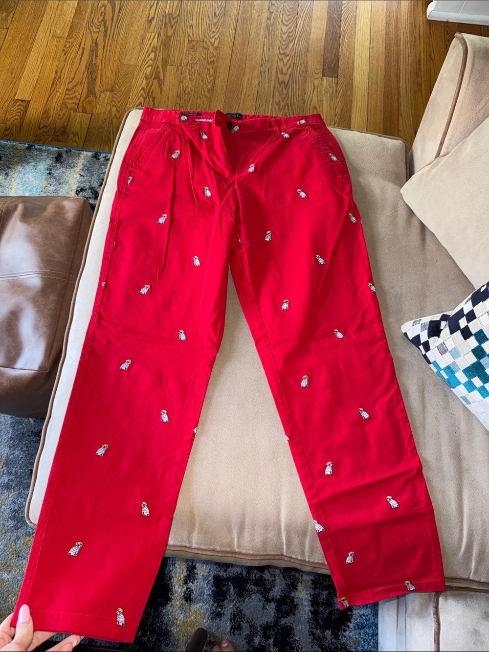 Red Embroidered Bulldog Chinos